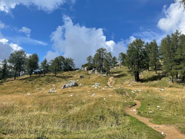 Foto vista del valle verde de los alpes eslovenos en el camino a mala mojstrovka