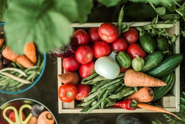 Vista de los vegetales desde un ángulo alto