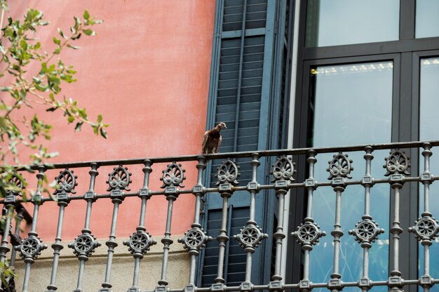 Foto vista de la ventana en un ángulo bajo en el edificio