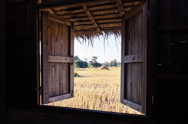 Foto vista desde la ventana en un paisaje maravilloso, vista de la naturaleza, rastrojo de arroz a la izquierda después de cosechar el fondo de la naturaleza del campo de arroz en tailandia