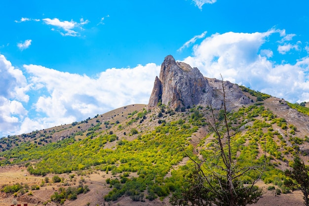 Vista de verano de acantilado de montaña de roca hermosa de Crimea