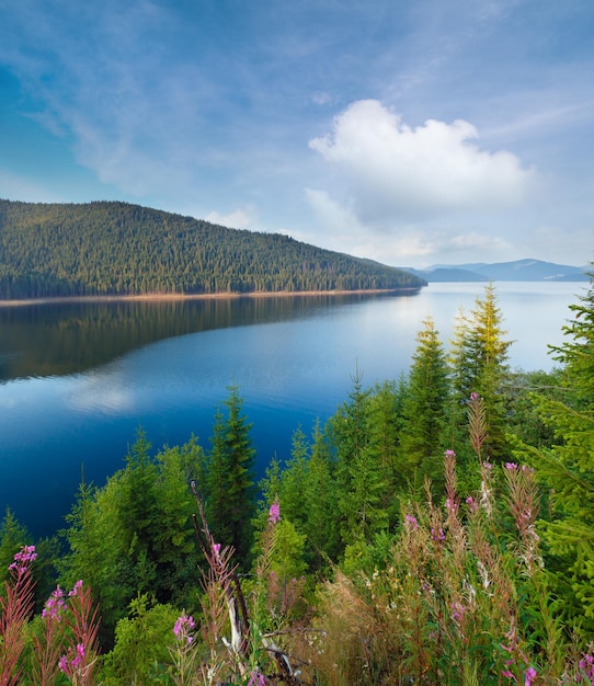 Vista de verano alpino lago Vidra