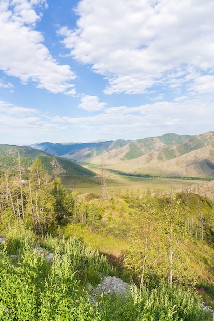 Vista de verano de Altai, Rusia.