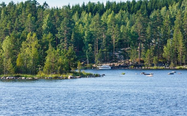 Vista de verano del lago con bosque en el borde.