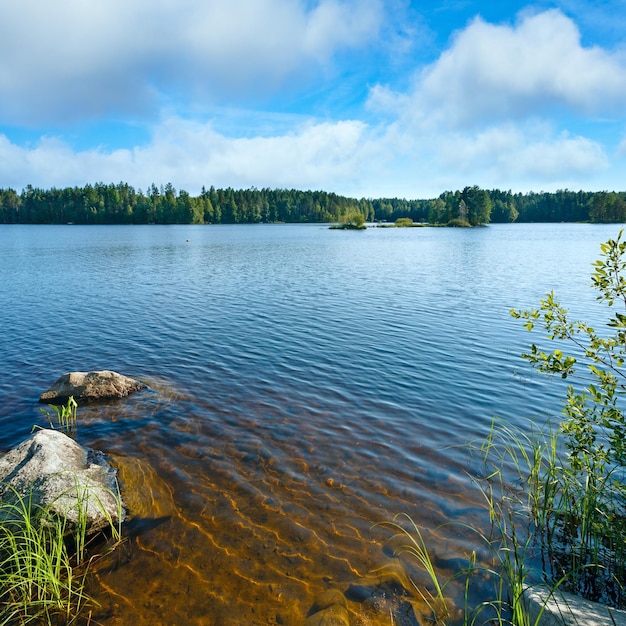 Vista de verano del lago Finlandia