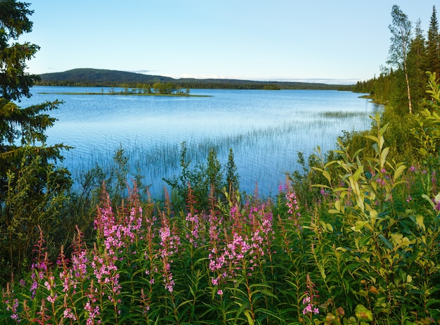 Vista de verano del lago con flores rosadas en el frente