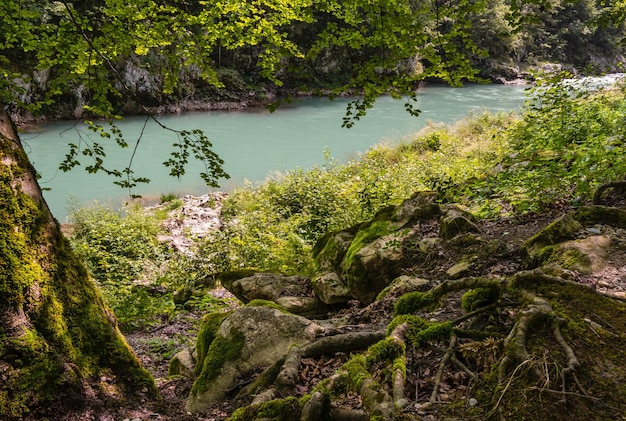 Vista de verano del río Tara Montenegro