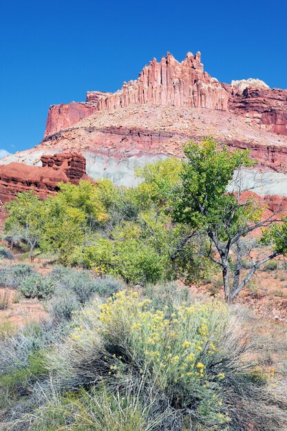 Vista vertical del castillo en el Parque Nacional Capitol Reef, Utah, EE.