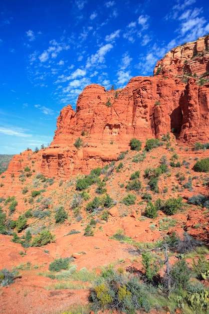 Vista vertical da paisagem selvagem perto de Sedona