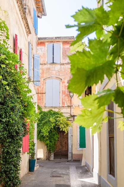 Vista vertical de uma bela rua com folhas verdes em Arles Provence França Desfoque primeiro plano