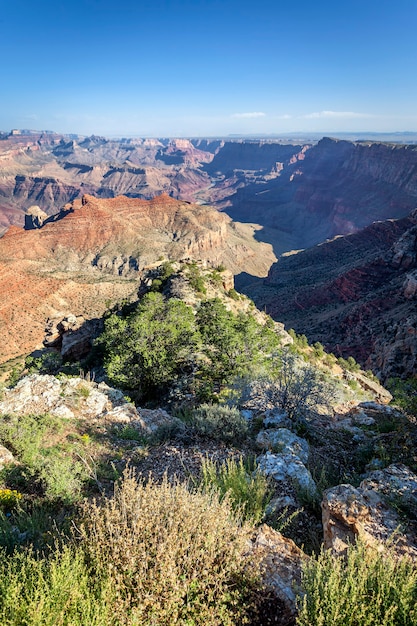 Foto vista vertical del gran cañón, arizona, ee.