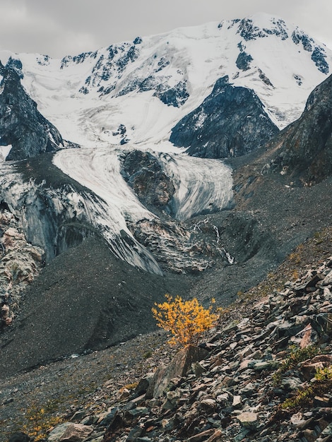 Vista vertical del Gran Glaciar en otoño en lo alto de las montañas cubiertas de nieve y hielo Paisaje invernal de Altai Pobre vegetación de las tierras altas