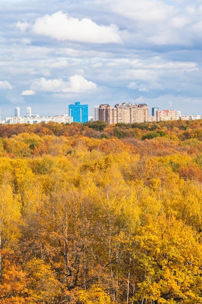 Vista vertical del parque de la ciudad amarilla en el día de otoño