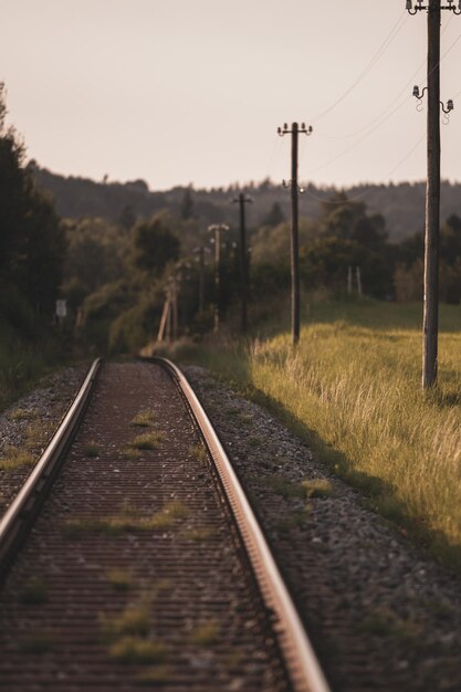 Foto vista de la vía del ferrocarril a lo largo de los árboles