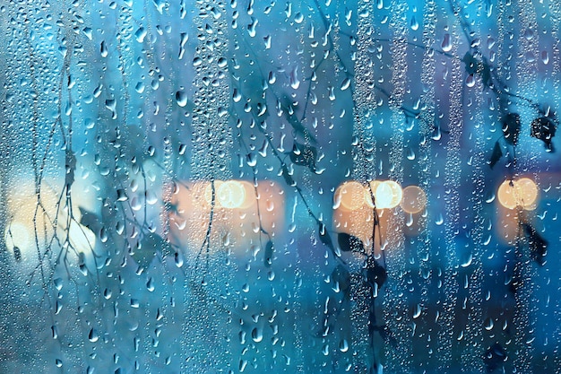 Vista de vidrio mojado de las ramas del parque otoño, fondo abstracto cae en la ventana por la noche de noviembre