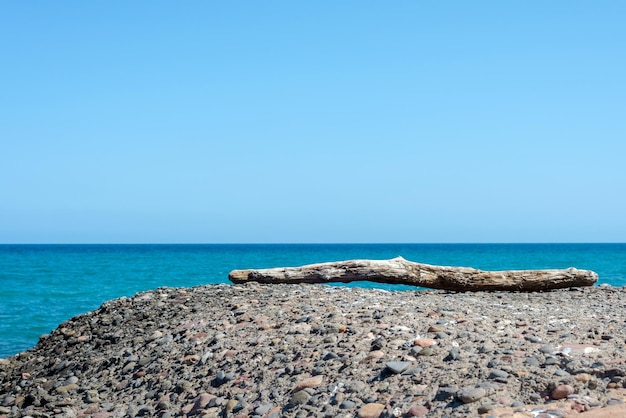 Vista de un viejo tronco sobre una piedra en la costa del mar