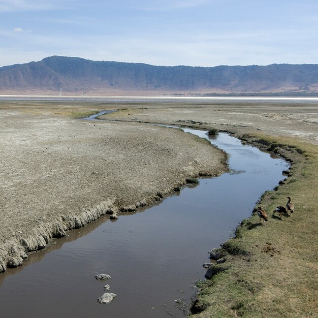 Foto vista de la vista del cráter del ngorongoro, tanzania