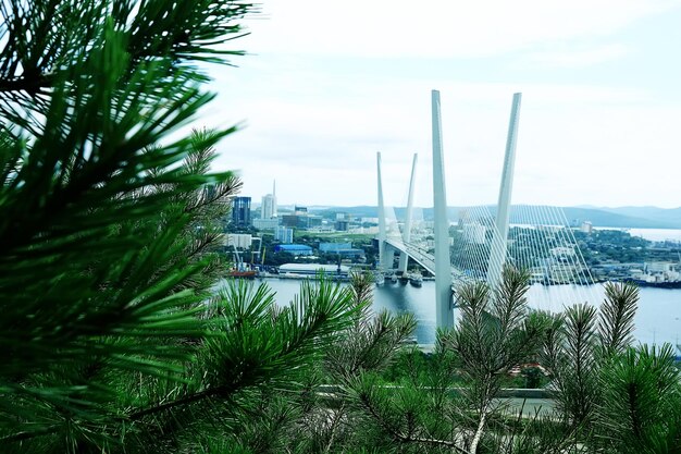 Foto vista de vladivostok del puente de la ciudad