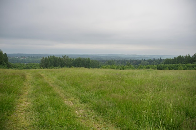 Vista de una zona montañosa con una densa vegetación Un camino rural a través de un campo