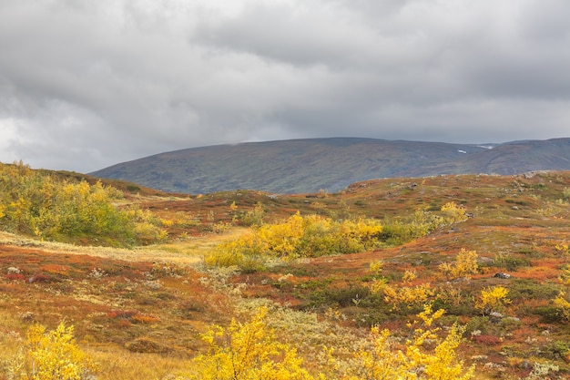 Vistas al Parque Nacional de Sarek en otoño