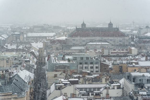 Vistas de Budapest con el techo de la Ópera Estatal de Hungría en el fondo en invierno