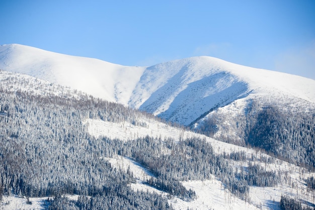 Vistas desde la ciudad Liptovsky Mikulas a West Tatras en invierno con árboles nevados y cielo nublado.