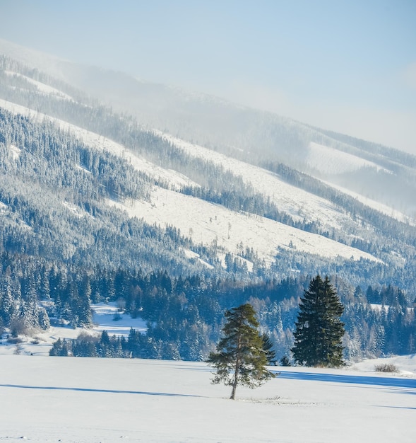 Vistas desde la ciudad Liptovsky Mikulas a West Tatras en invierno con árboles nevados y cielo nublado.