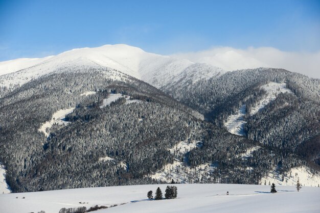 Vistas desde la ciudad Liptovsky Mikulas a West Tatras en invierno con árboles nevados y cielo nublado.