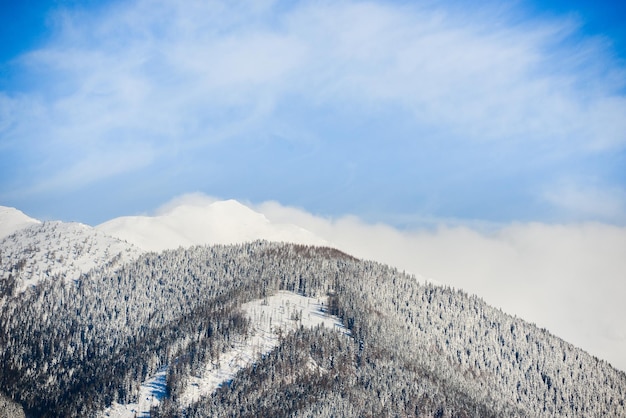 Vistas desde la ciudad Liptovsky Mikulas a West Tatras en invierno con árboles nevados y cielo nublado.