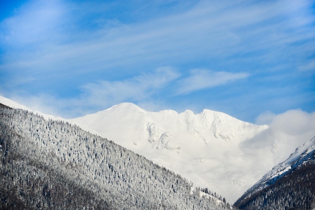 Vistas desde la ciudad Liptovsky Mikulas a West Tatras en invierno con árboles nevados y cielo nublado.
