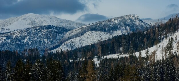 Vistas desde la ciudad Liptovsky Mikulas a West Tatras en invierno con árboles nevados y cielo nublado.