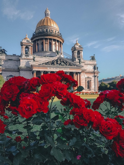 Vistas de la ciudad de San Petersburgo Viajes Fotos diarias atmosféricas