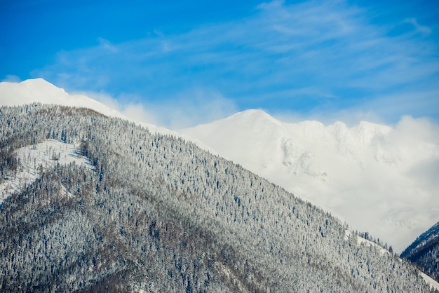 Vistas da cidade de Liptovsky Mikulas para West Tatras no inverno com árvores nevadas e céu nublado.