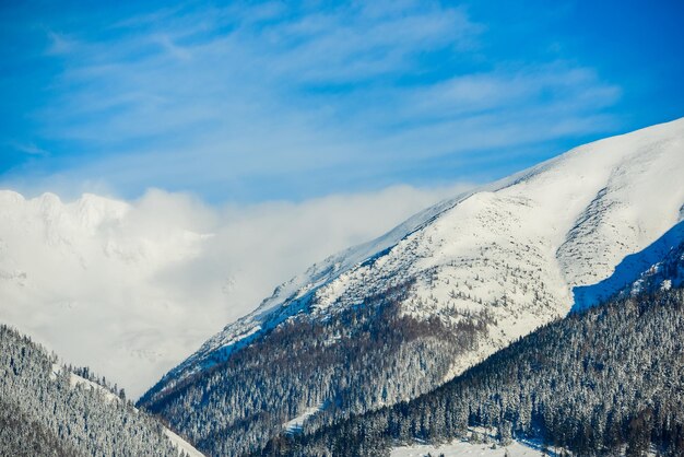 Vistas da cidade de Liptovsky Mikulas para West Tatras no inverno com árvores nevadas e céu nublado.