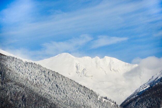 Vistas da cidade de Liptovsky Mikulas para West Tatras no inverno com árvores nevadas e céu nublado.