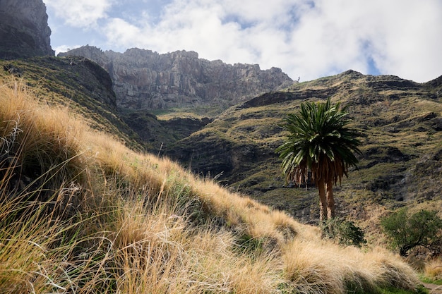 Vistas da paisagem Tamadaba em Gran Canaria