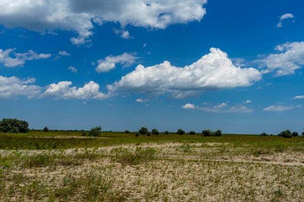 Foto vistas diferentes da floresta caraorman, área do delta do danúbio, romênia, em um dia ensolarado de verão, 2021