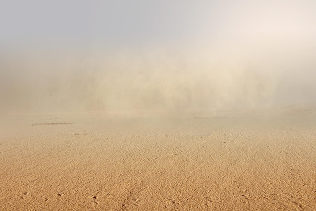 Vistas de dunas de arena