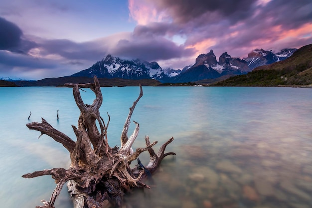 Vistas incríveis das montanhas e do lago Parque Nacional Torres del Paine Chile