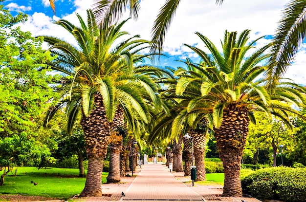 Vistas del interior del Parque de la Paloma de Benalmádena, Málaga.