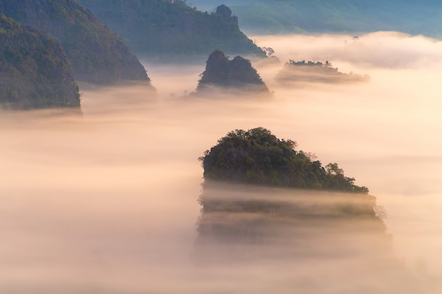 Vistas a la montaña y hermoso Parque Nacional Mist of Phu Langka, Tailandia