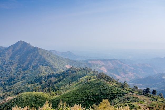 Vistas a la montaña