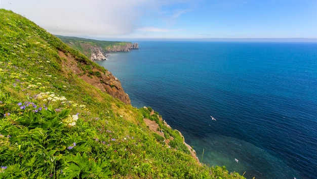 Vistas del océano Pacífico desde un acantilado en Kamchatka