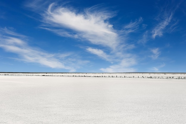 Vistas del paisaje desértico y del lago salado sobre el fondo del cielo azul