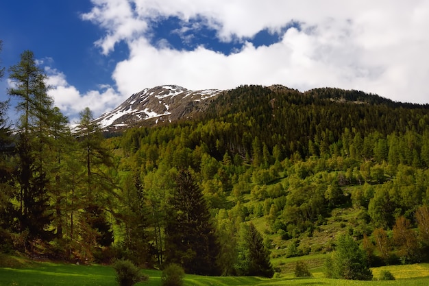 Vistas panorámicas del parque nacional suizo con una carretera en un día soleado de primavera.