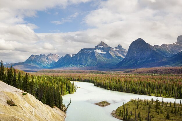 Vistas panorámicas del río Athabasca, el Parque Nacional Jasper, Alberta, Canadá