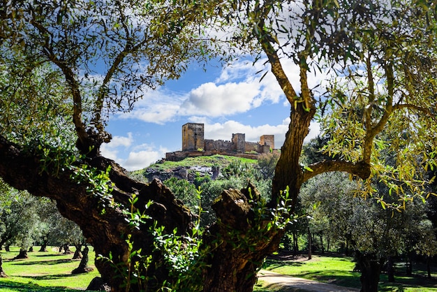 Vistas desde el Parque de la Retama del castillo de Alcalá de Guadaira en Sevilla en cielo azul