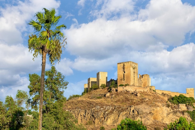 Vistas desde el Parque de la Retama del castillo de Alcalá de Guadaira en Sevilla, en cielo azul.