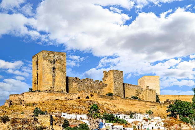 Vistas desde el Parque de la Retama del castillo de Alcalá de Guadaira en Sevilla en cielo azul