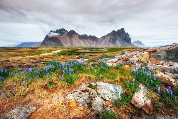 Vistas pintorescas del río y las montañas en Islandia